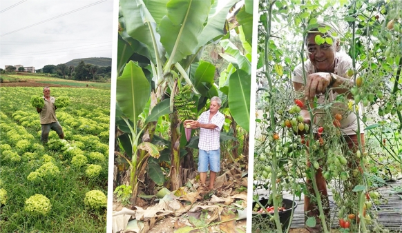 Aprovada alteração da Lei do Programa de Alimentação Escolar – Matéria segue para sanção presidencial