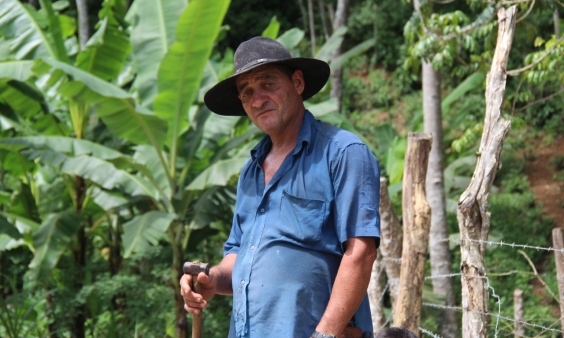 Assalariados Rurais