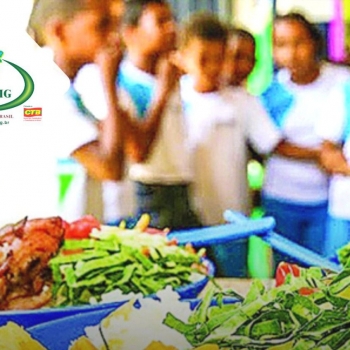 Conselho de Alimentação Escolar e Agricultura Familiar na Escola