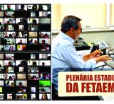 Plenária Estadual da FETAEMG