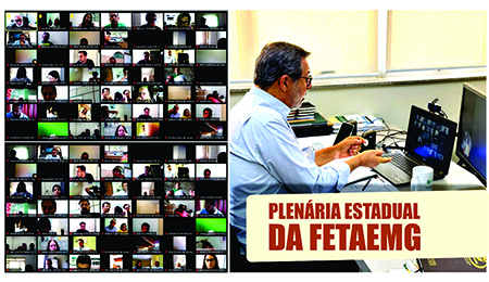 Plenária Estadual da FETAEMG