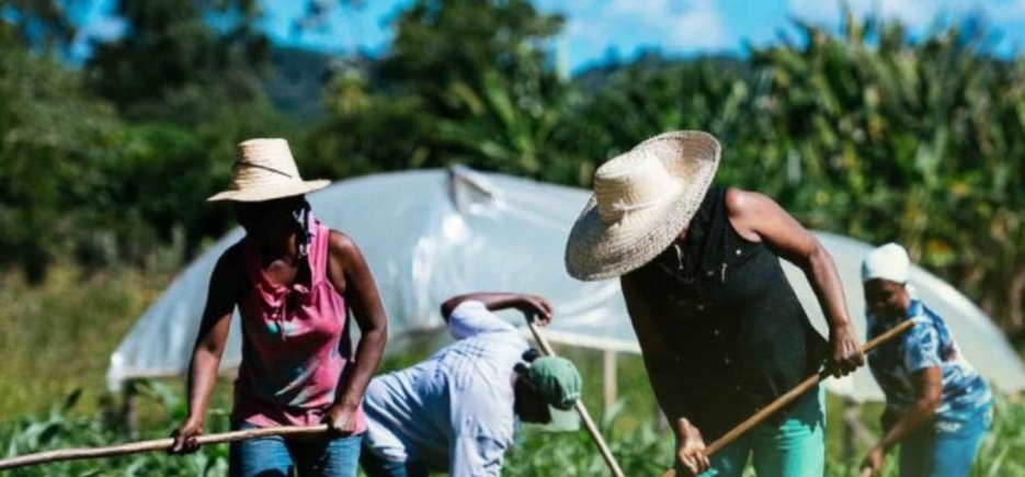 25 de maio – Dia do Trabalhador Rural