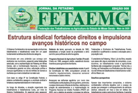 Jornal Fetaemg – 08