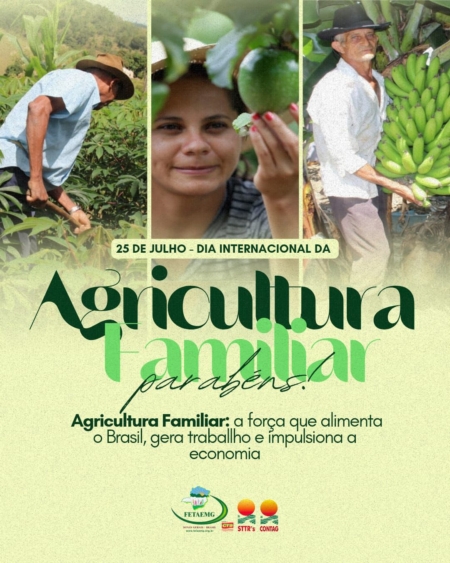 Responsável por cerca de 70% dos alimentos que chegam à mesa dos brasileiros, a agricultura familiar é base da segurança alimentar, da geração de renda no campo e da preservação ambiental.