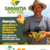 Garantia Safra oferece segurança a agricultores familiares em caso de perdas