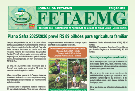 Jornal Fetaemg – 09