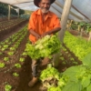 Novas leis federais fortalecem a agricultura familiar e ampliam segurança alimentar