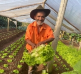 Novas leis federais fortalecem a agricultura familiar e ampliam segurança alimentar