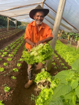Novas leis federais fortalecem a agricultura familiar e ampliam segurança alimentar Novas leis federais fortalecem a agricultura familiar e ampliam segurança alimentar