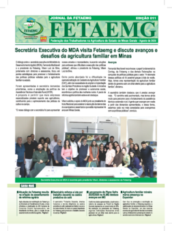 Jornal Fetaemg – 11