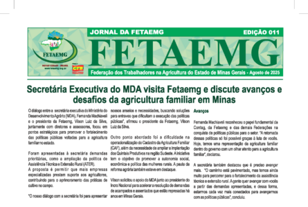 Jornal Fetaemg – 11