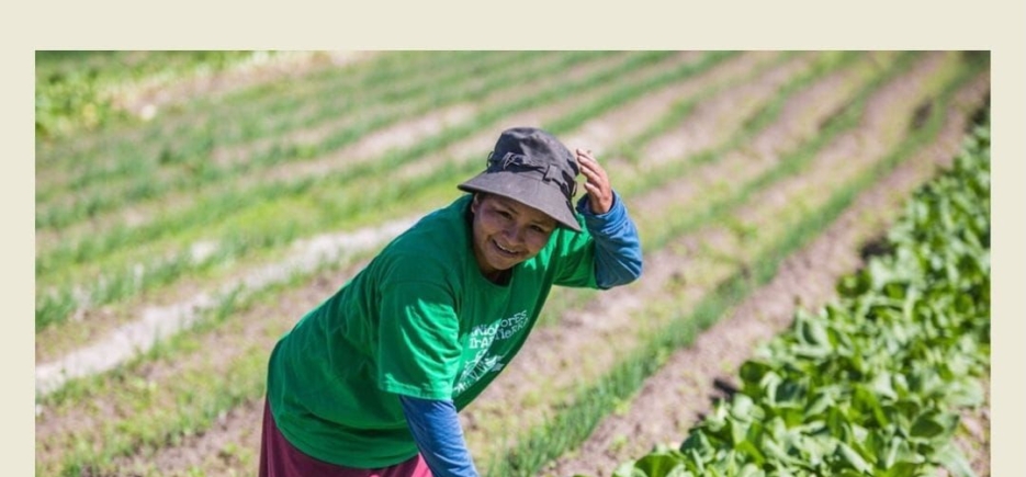 O PRAZO PARA ADESÃO AO DESENROLA RURAL VAI ATÉ 31 DE DEZEMBRO!!