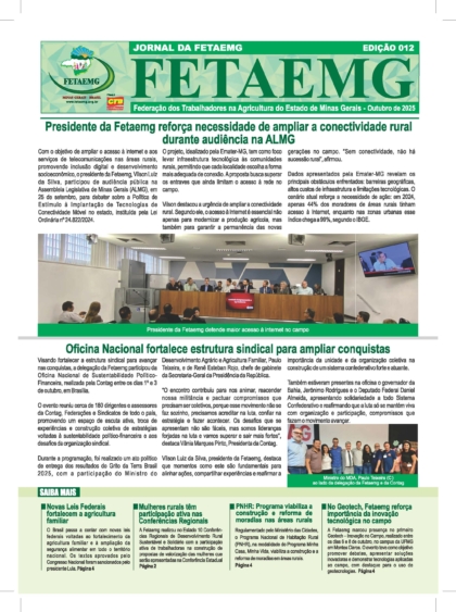 Jornal Fetaemg – 12