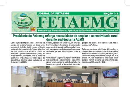 Jornal Fetaemg – 12