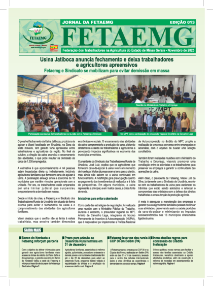 Jornal Fetaemg – 13