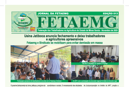 Jornal Fetaemg – 13