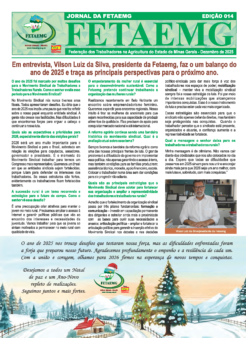 Jornal Fetaemg – 14