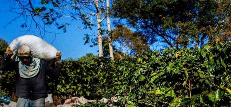 Temas que refletem a realidade do campo