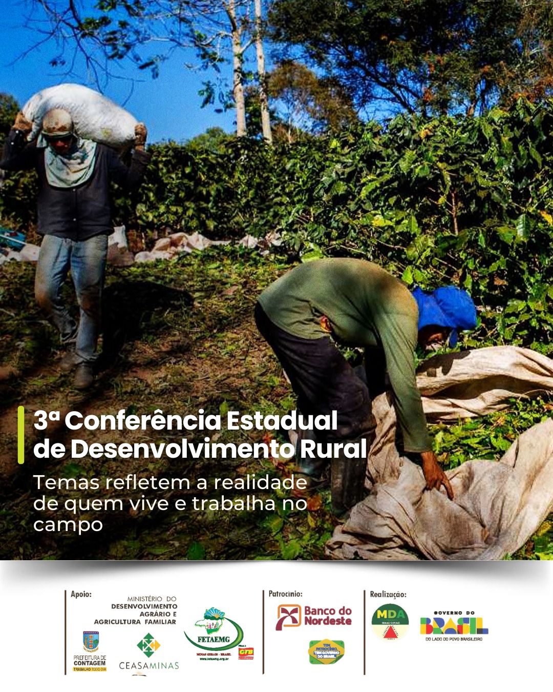 Temas que refletem a realidade do campo