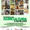 Mostra da Agricultura Familiar valoriza produção rural e fortalece geração de renda no campo