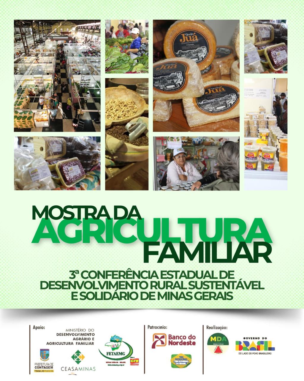 Mostra da Agricultura Familiar valoriza produção rural e fortalece geração de renda no campo
