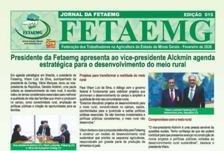 Jornal Fetaemg – 15