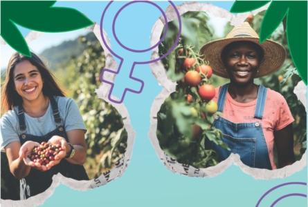 Carta as mulheres – 08 março 2026