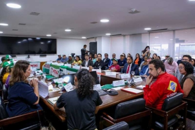 Fetaemg participa da entrega da pauta do Grito da Teraa Brasil ao governo